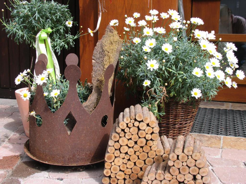 Hotel Kimmig Bad Peterstal-Griesbach Exteriör bild